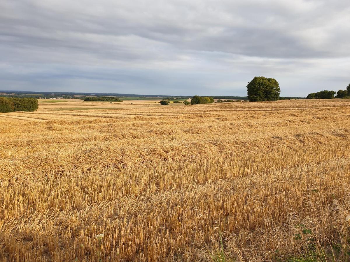 Tusson Chambres D'Hotes Charente Bagian luar foto